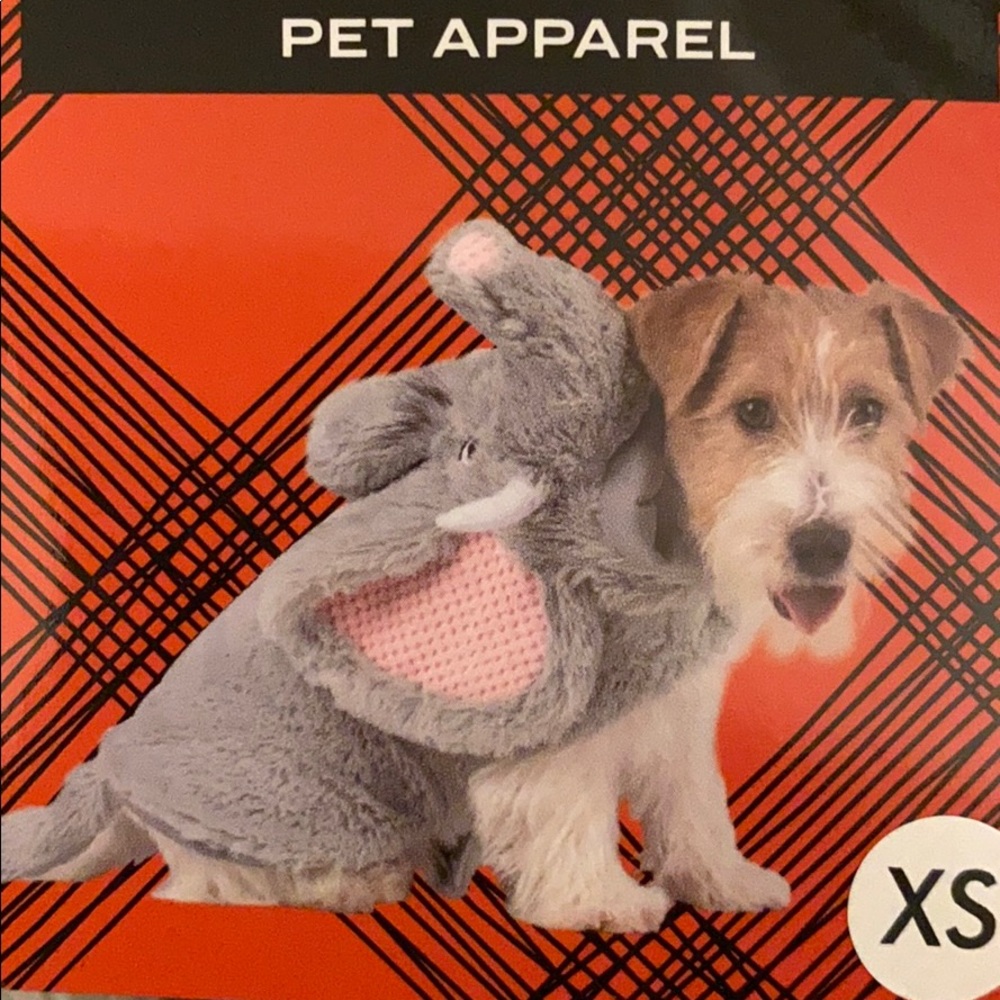 Happy Haunting Elephant Dog Halloween Costume 🐘